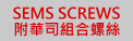 SEMS SCREWS