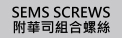 SEMS SCREWS